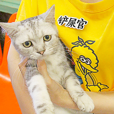 Ʒƣִ-/ò˫ȫ/è/ʺ//