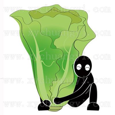 ��Ʒ���ƣ���������4��-������������ƿ��