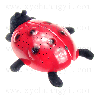 ��Ʒ���ƣ�ư��ͶӰ��